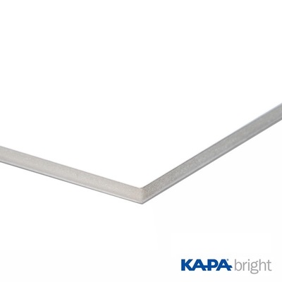  KAPA BRIGHT FP